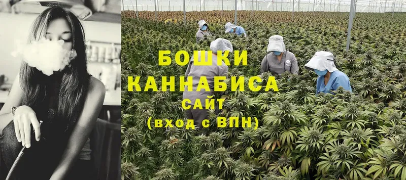 Конопля Ganja  Челябинск 